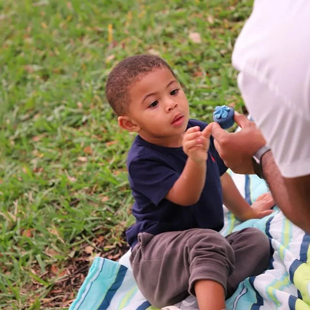 mini blue velvet cupcake - The Best Blue Velvet Cupcakes 